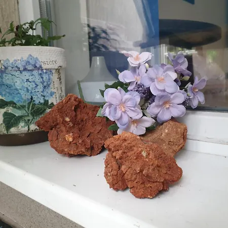 вселена Apartamento *
